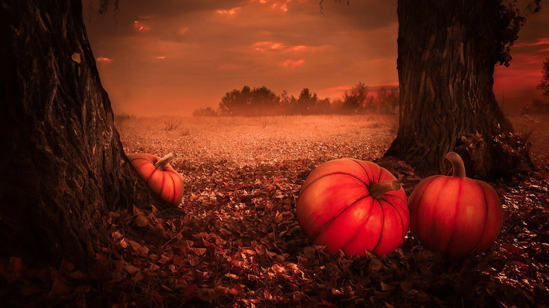 Halloween-Like Traditions and the Origin of Halloween