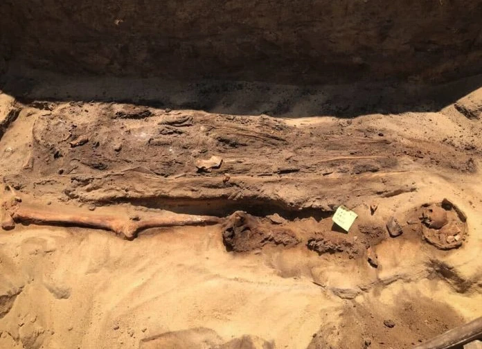 Arkæologer graver mumier med gyldne tunger i Egypten