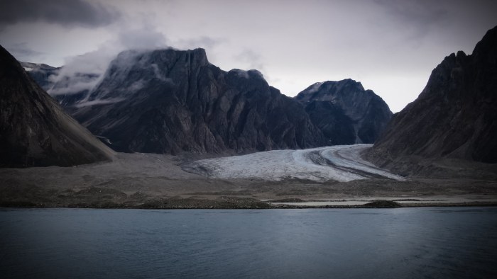 Det 2 millioner år gamle økosystem i Grønland åbner et nyt kapitel i evolutionens historie