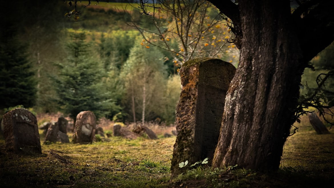 Árboles de cementerio y la tradición de plantar árboles junto a las tumbas