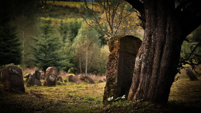 Arbres de cimetière: pourquoi les gens plantent-ils des arbres dans les cimetières ?