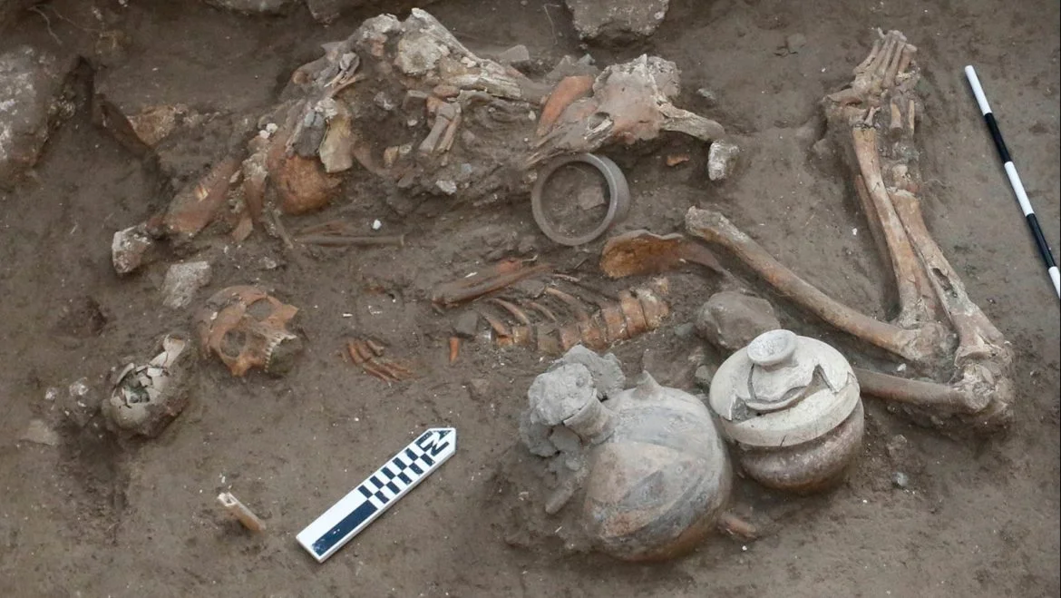 Hjernekirurgi eller ritual? Arkæologer fandt et 3500 år gammelt kranie med hul
