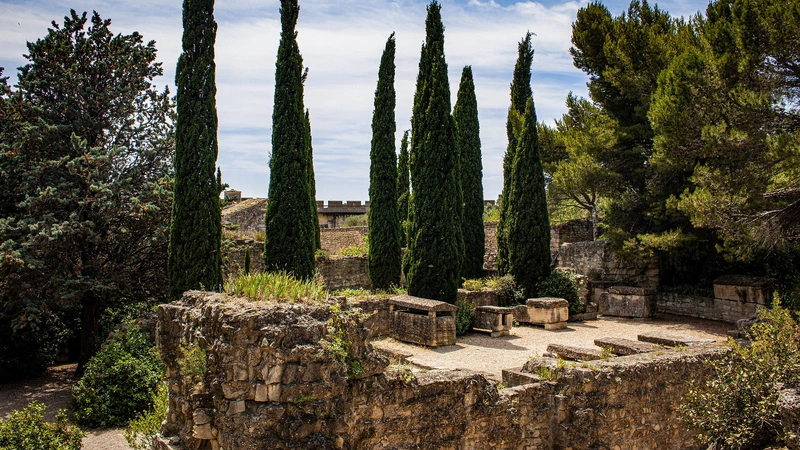 Arbres de cimetière et tradition de planter des arbres à côté des tombes