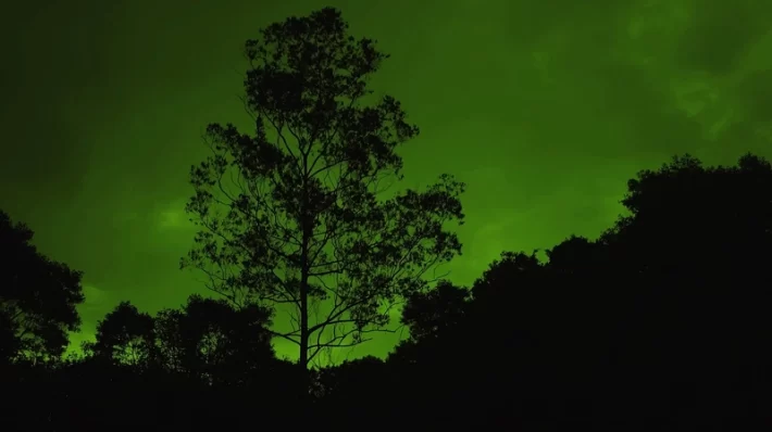 Significations symboliques du vert avec des exemples de la mythologie, que symbolise la couleur verte?