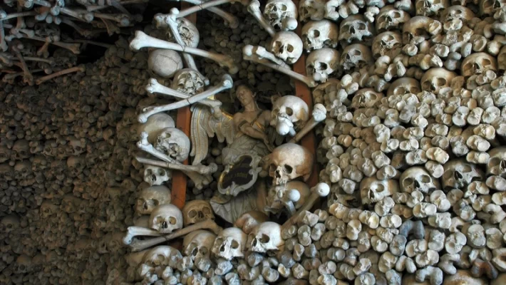 Czermnas Schädelkapelle: Die faszinierende Ausstellung von 3000 Schädeln und unzähligen Knochen