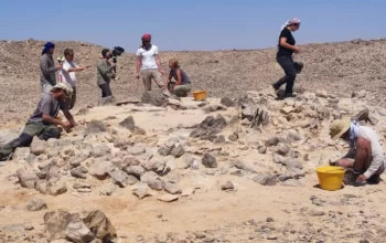 Stone-Axes-Unearthed-in-Oman