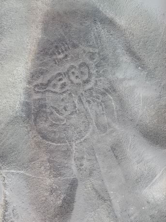 nouveaux géoglyphes, Pérou, figures félines-anthropomorphes